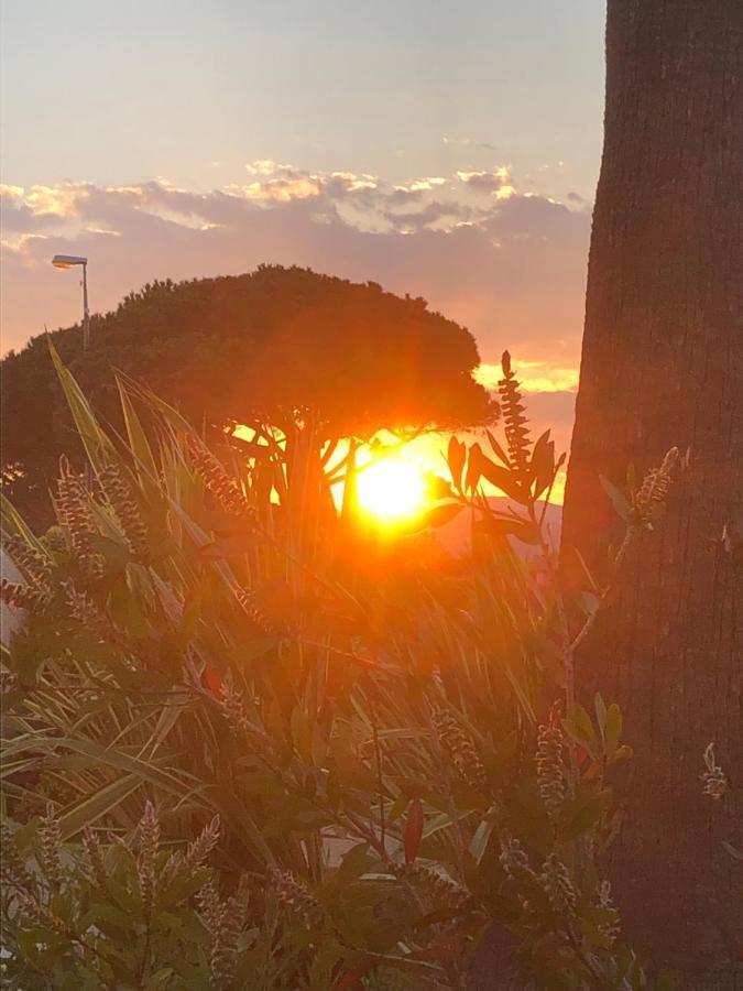 Petit Cocon Magnifique Vue Sur Marina Dans Le Golfe De Saint Tropez