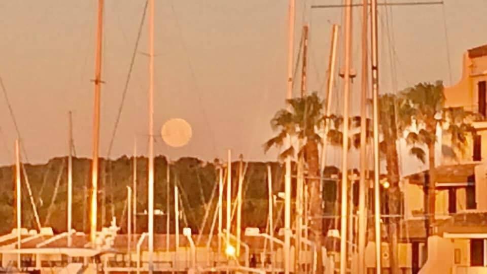 Petit Cocon Magnifique Vue Sur Marina Dans Le Golfe De Saint Tropez Cogolin